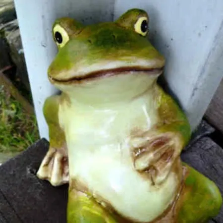 Moorfrosch Userin
